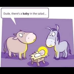 Meet your Posher, Susan